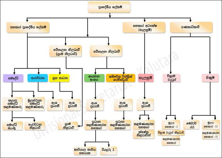 org structure sinhala