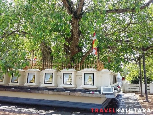 තළුතර ෙබා්ධිය